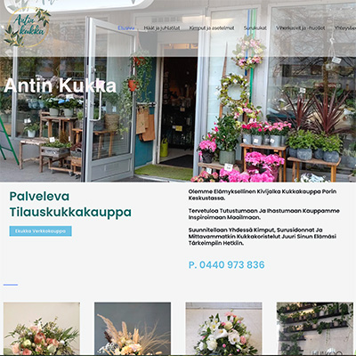 antinkukka ideavisio